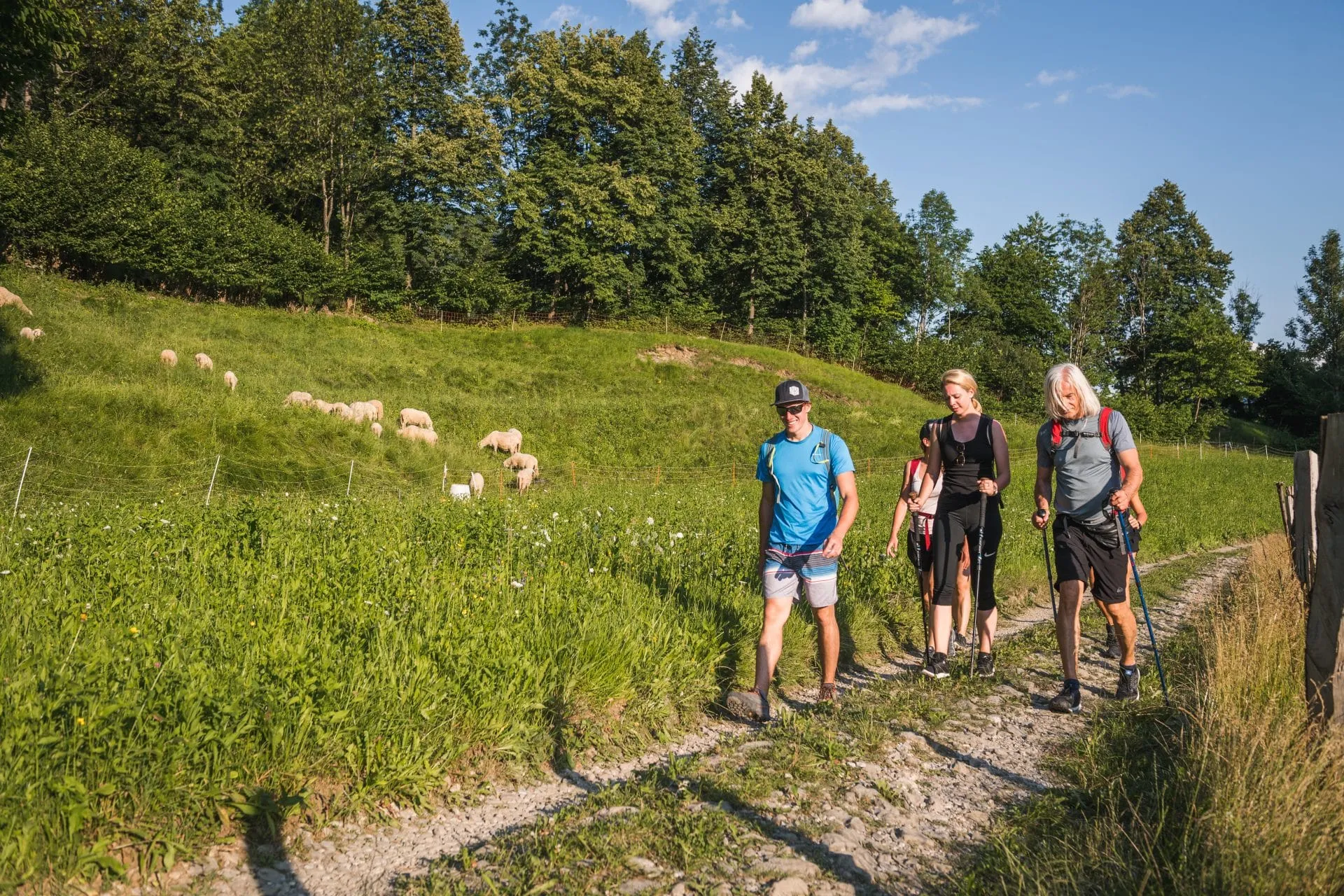 Wandelaars in Slovenië