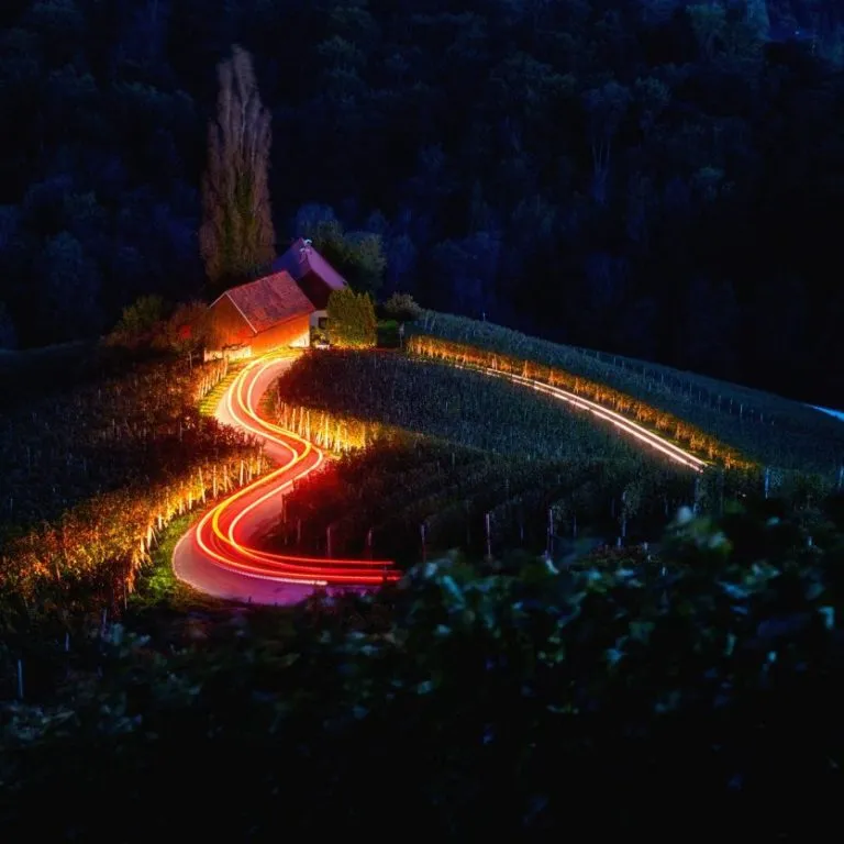 Slovenske vingårder i hjerteform om natten