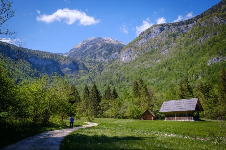 hermoso valle de voje cerca de bohinj en eslovenia a escala