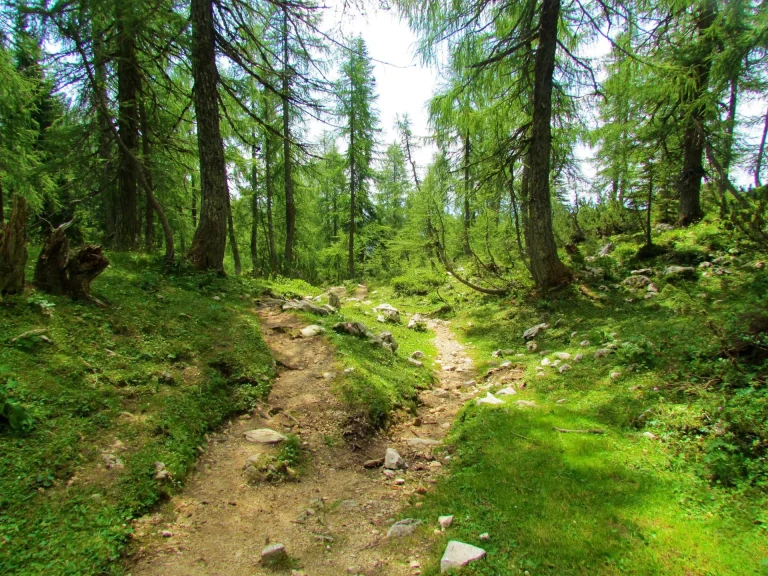 sentieri escursionistici sloveni in scala