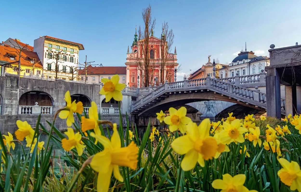 Frühling in Ljubljana Drei Brücken