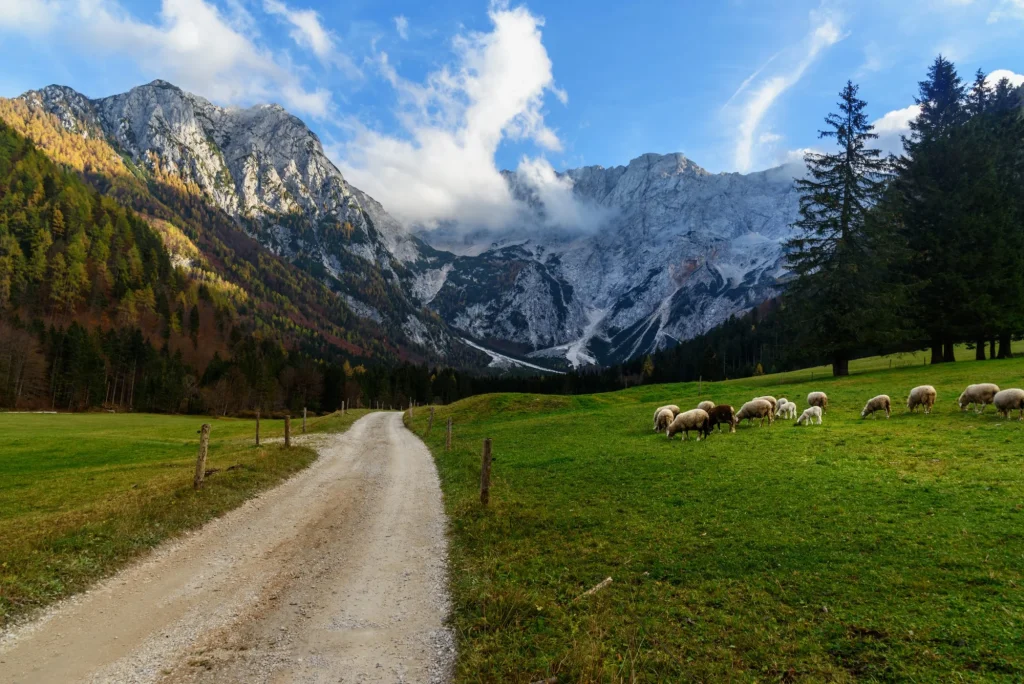 vy över berget skuta från dalen zgornje jezersko i norra slovenien skalenlig